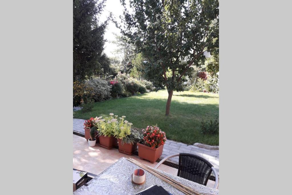 Aranyhegyi Pihenő Apartman